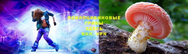 кокс Арсеньев