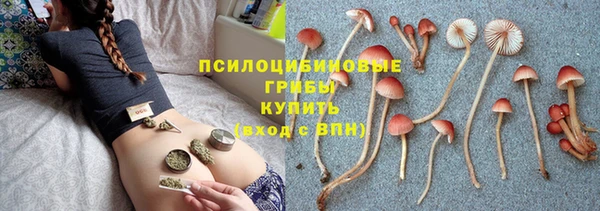 кокс Арсеньев
