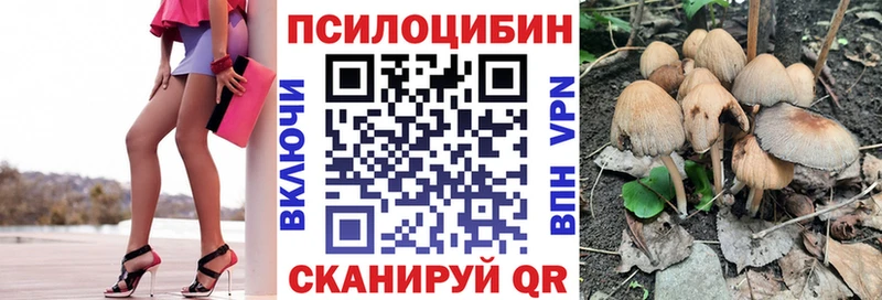 Галлюциногенные грибы прущие грибы  Сортавала 